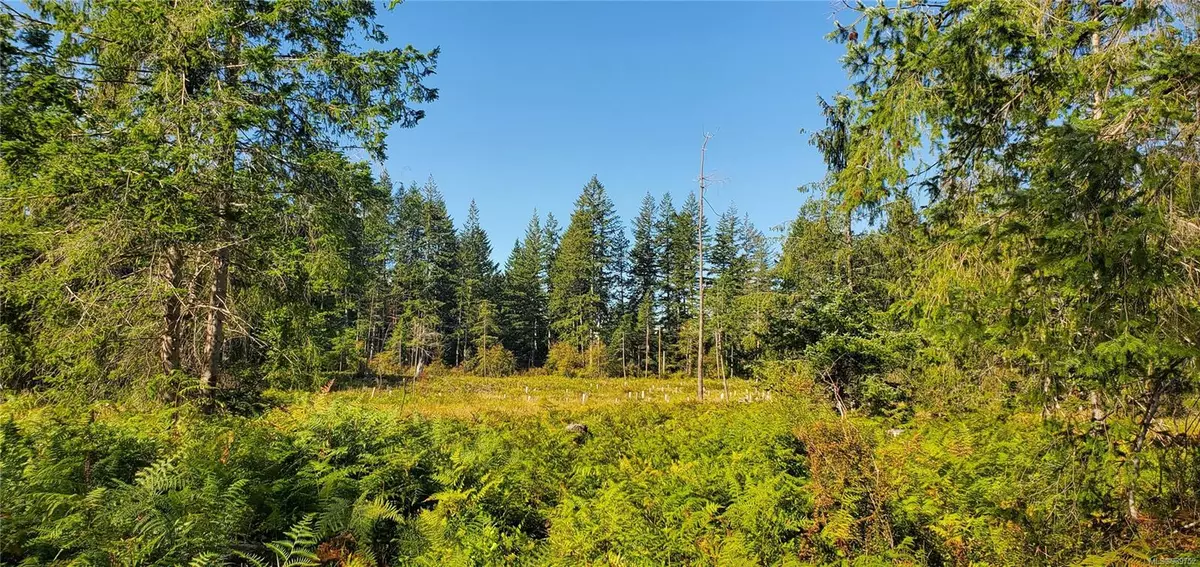 Quadra Island, BC V0P 1N0,Lot 1 Walker Rd