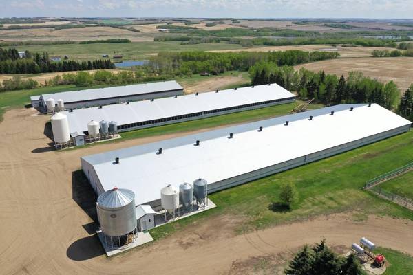 Ferintosh, AB T0B 1M0,21351 TWP 443