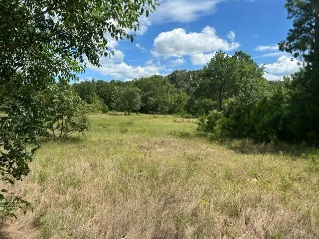 Grand Saline, TX 75140,TBD 20.68 AC HWY 80