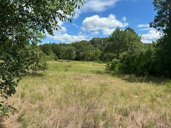 TBD 20.68 AC HWY 80,  Grand Saline,  TX 75140