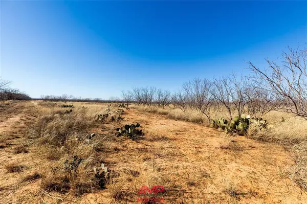 Mccaulley, TX 79534,144 County Road 283