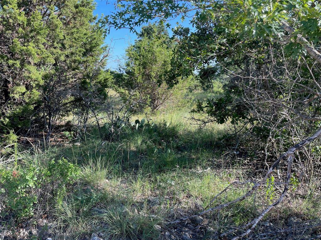 Ranger, TX 76470,Lot 24 Oakcrest Drive