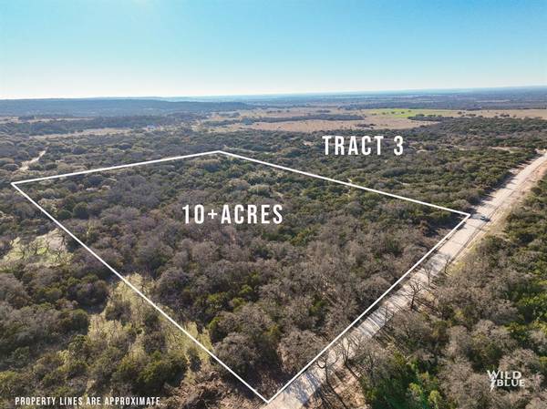 Tract 7 Red Oak Rd., Ovalo, TX 79541