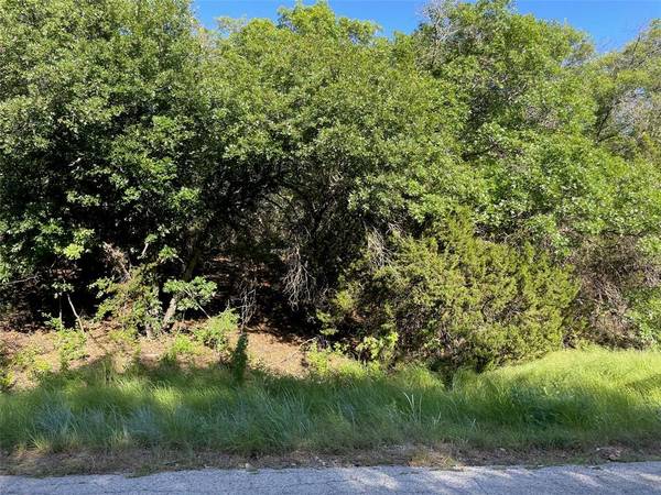 Ranger, TX 76470,Lot 24 Oakcrest Drive