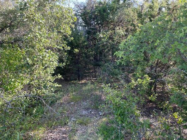 Ranger, TX 76470,Lot 24 Oakcrest Drive