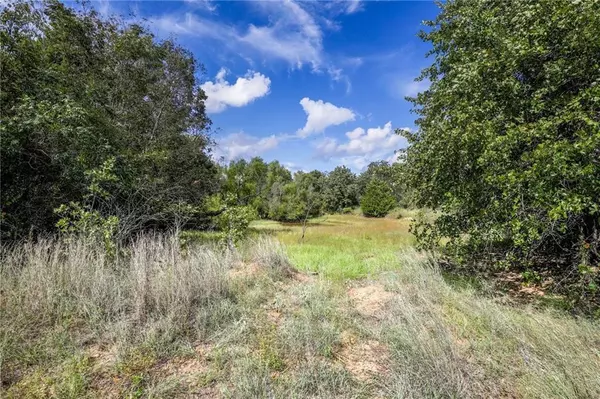 Boyd, TX 76023,Lt 1 Twin Oaks Lane