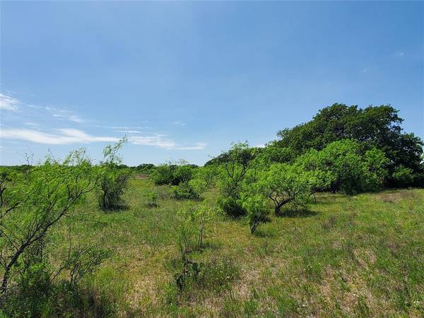 TBD N Hwy 84, Coleman, TX 76834