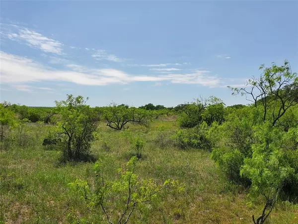 Coleman, TX 76834,TBD N Hwy 84