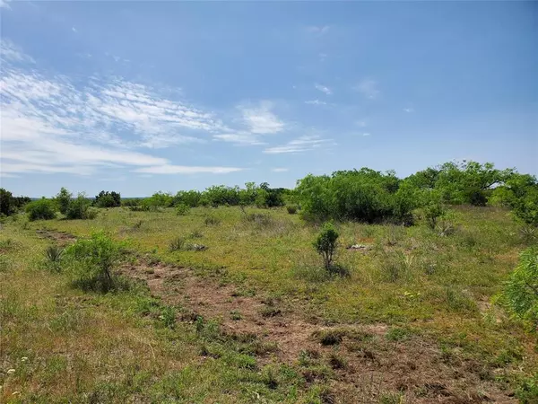 Coleman, TX 76834,TBD N Hwy 84