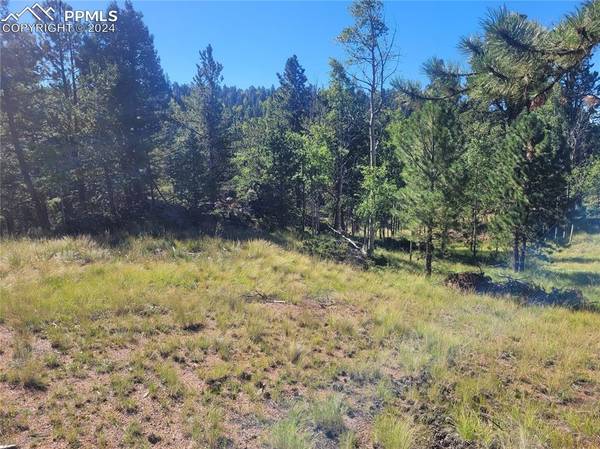 3168 N Mountain Estates RD, Florissant, CO 80816