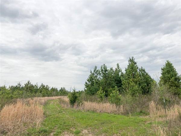 Simms, TX 75574,0000 CR 4290