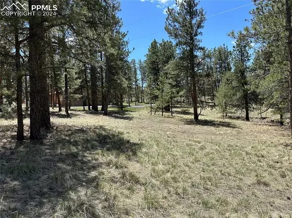 Florissant, CO 80816,179 Monument LN