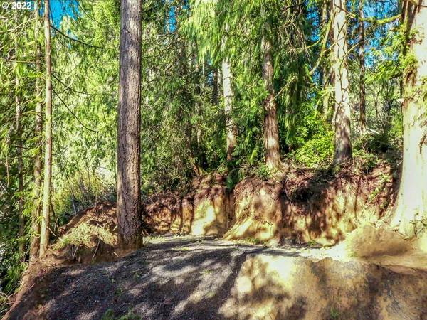 Florence, OR 97439,LEVAGE DR #05600