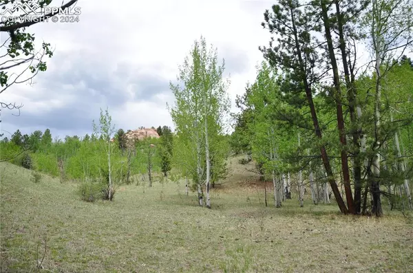 Florissant, CO 80816,5942 County Road 1