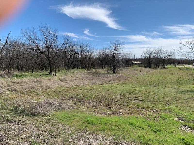 lot 1 block 6 Lark Meadow Drive, Bridgeport, TX 76426