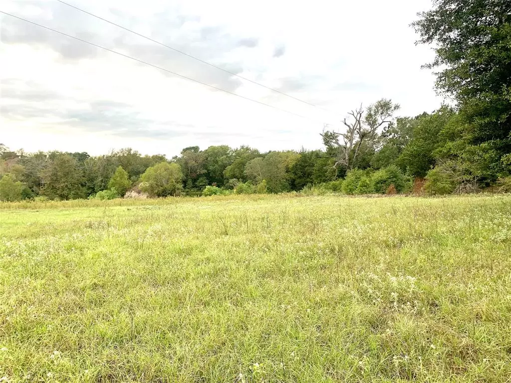 Brownsboro, TX 75756,TBD CR 3516