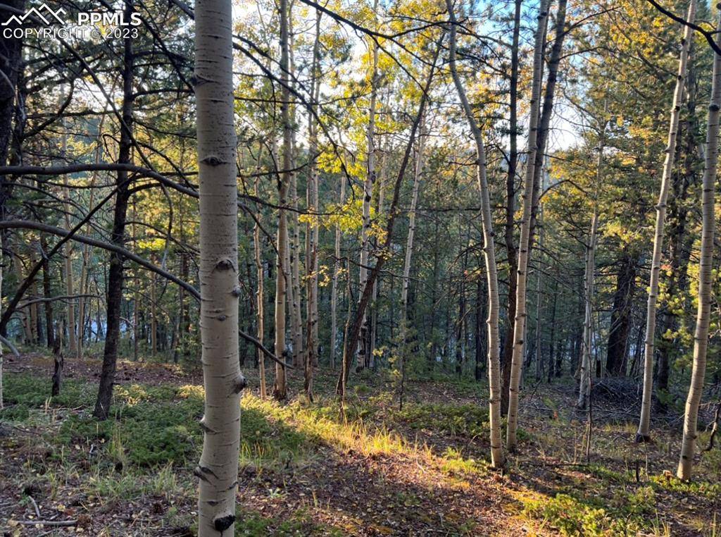 657 Calcite DR, Divide, CO 80814