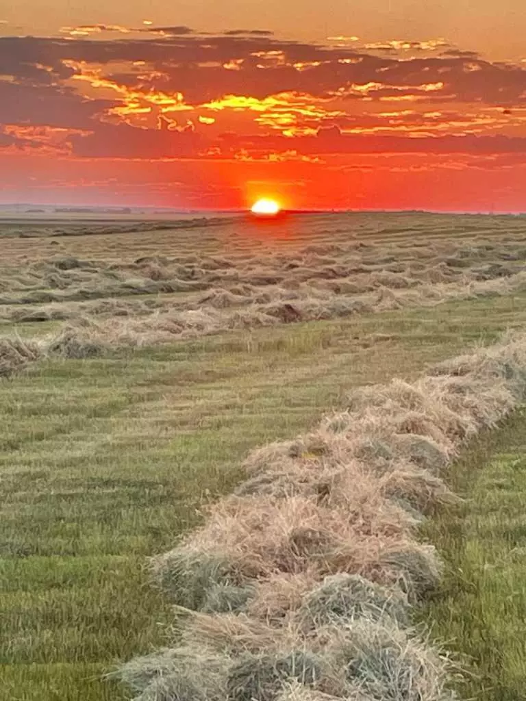 Rural Foothills County, AB T0L 0J0,Hwy 23