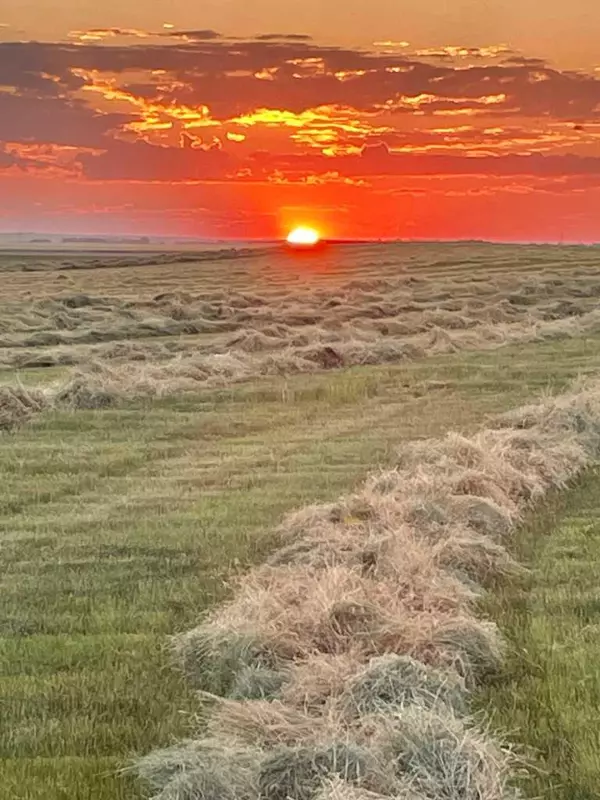 Hwy 23, Rural Foothills County, AB T0L 0J0