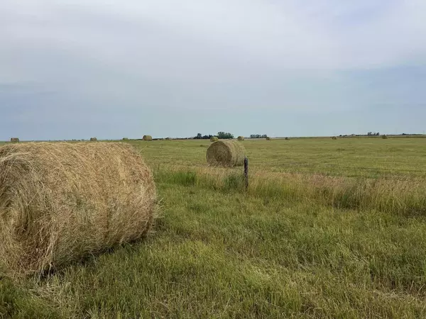 Rural Foothills County, AB T0L 0J0,Hwy 23