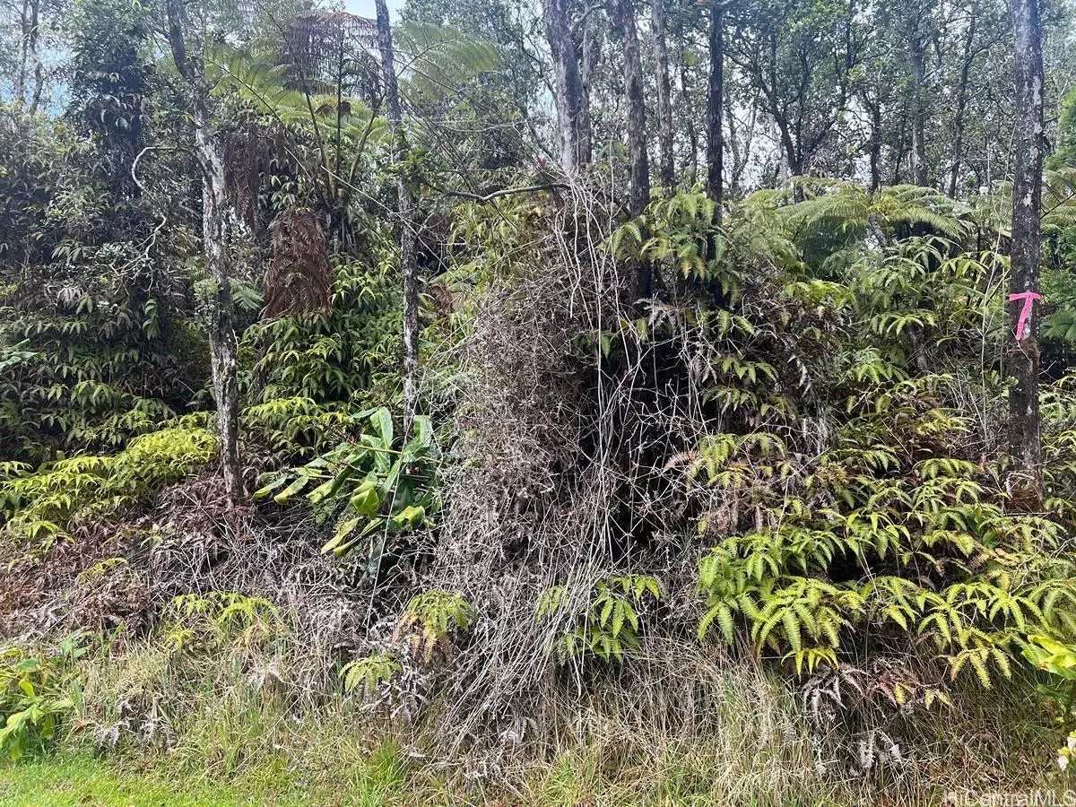 Volcano, HI 96785,0 Ala Ohia Street