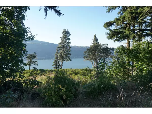 Hood River, OR 97031,3850 WESTCLIFF DR