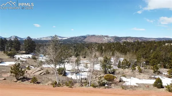 Florissant, CO 80816,285 Chateau Vista DR