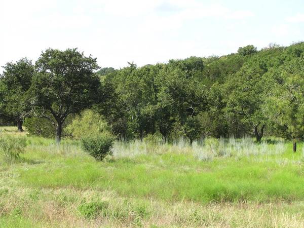 Evant, TX 76525,Lot 9 Ph 4 Pr 4212