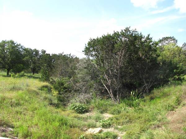 Evant, TX 76525,Lot 9 Ph 4 Pr 4212