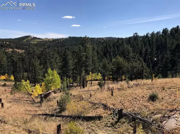 267 Overlook CIR, Woodland Park, CO 80135