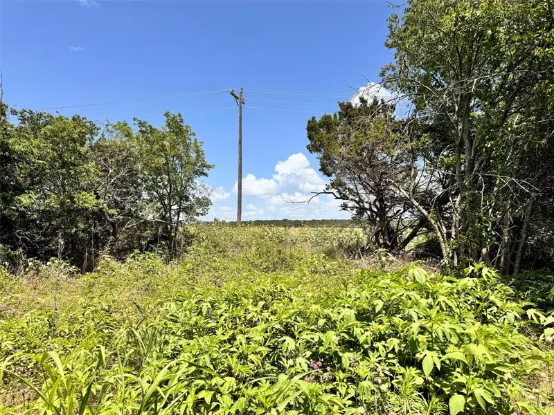 TBD Hcr-1212, Blum, TX 76627