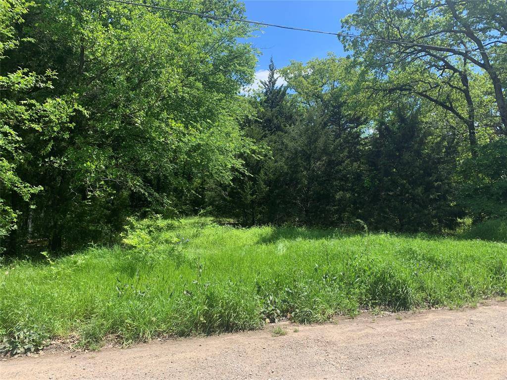 Quinlan, TX 75474,TBD Raven Lot 38 Row