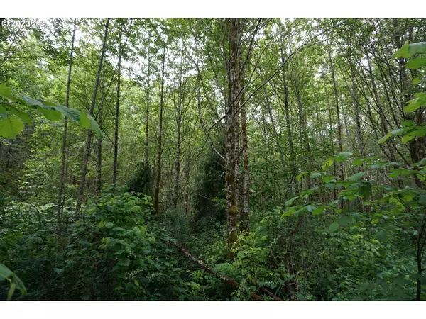 Woodland, WA 98674,0 NE Buncombe RD