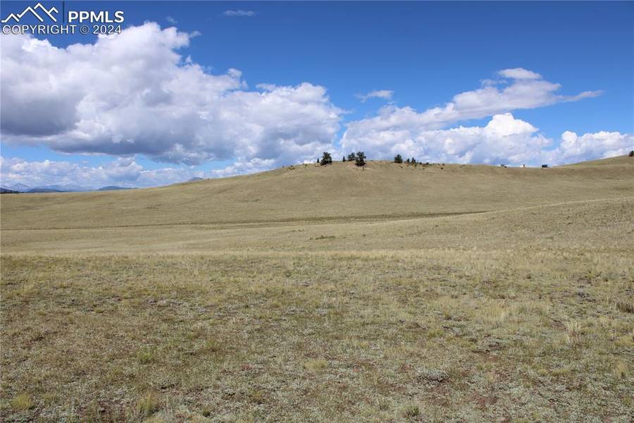 Caddo RD, Hartsel, CO 80449