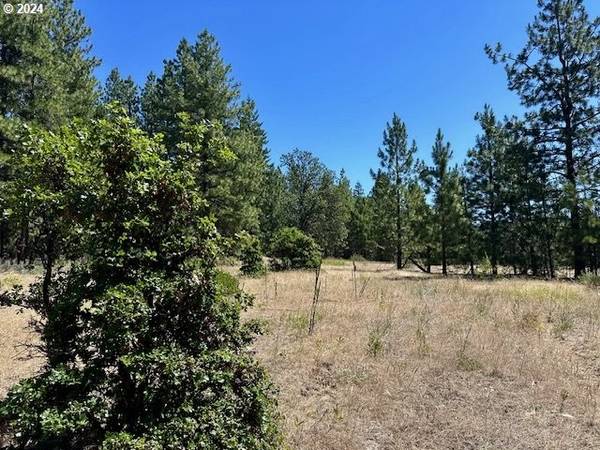 Goldendale, WA 98620,41 TIMBER DR