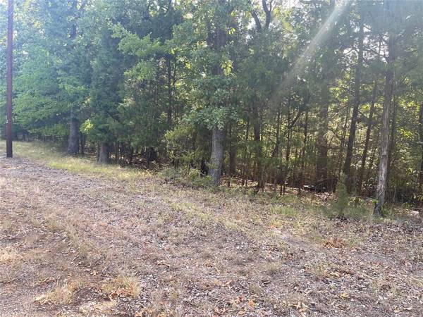 Mabank, TX 75156,TBD Lake Terrace Drive