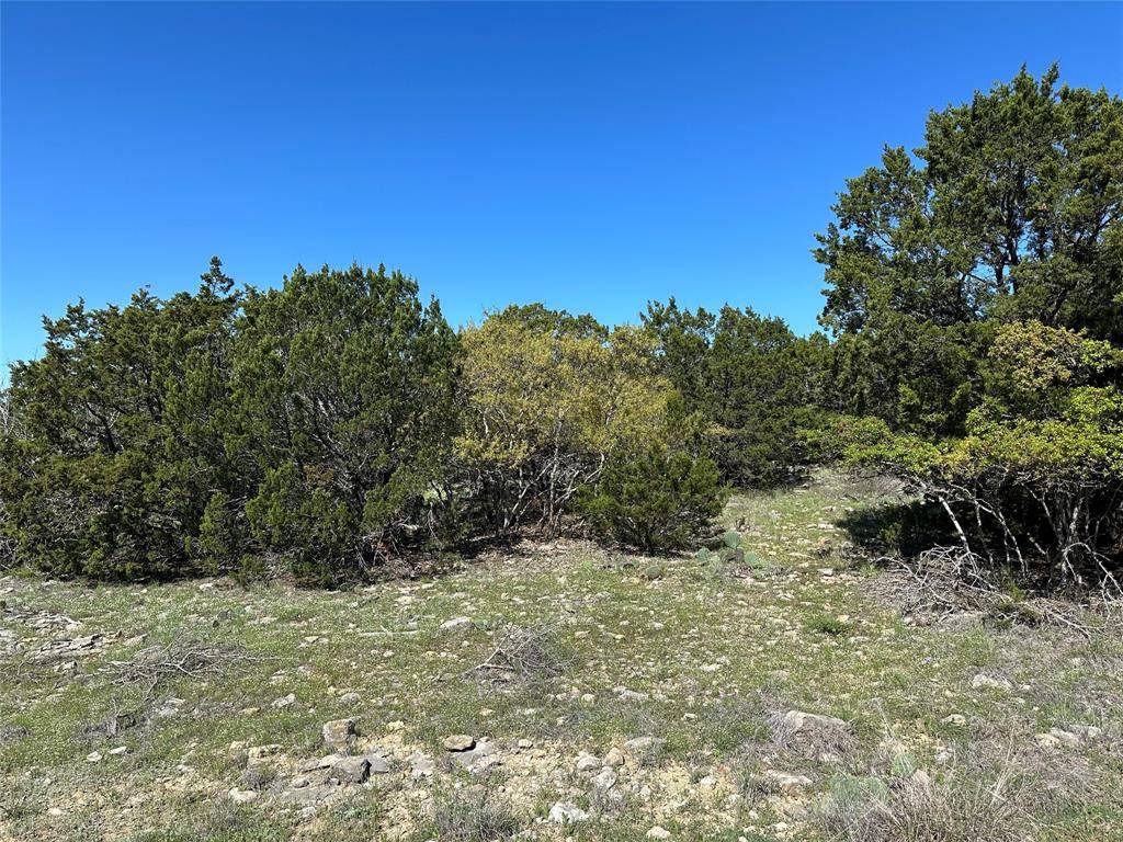 Graford, TX 76449,Lot 89 Medinah Drive