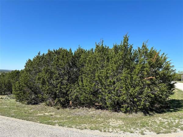 Graford, TX 76449,Lot 89 Medinah Drive