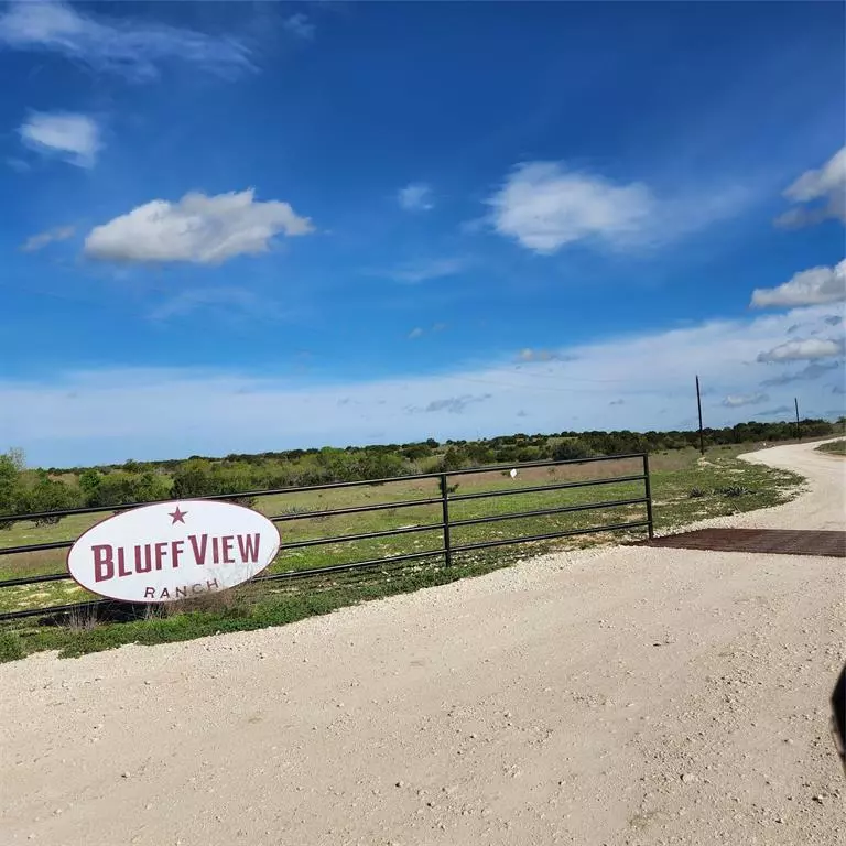 Gustine, TX 76455,TBD Bluff View Trail