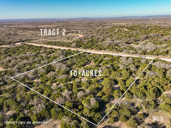 Tract 6 Red Oak Rd., Ovalo, TX 79541