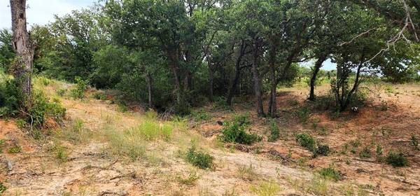 Springtown, TX 76082,1080 B Gonzollas Road