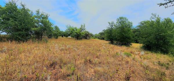 Springtown, TX 76082,1080 B Gonzollas Road