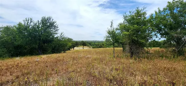 Springtown, TX 76082,1080 B Gonzollas Road