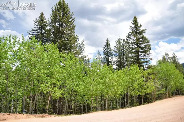 372 Vindicator DR, Cripple Creek, CO 80813