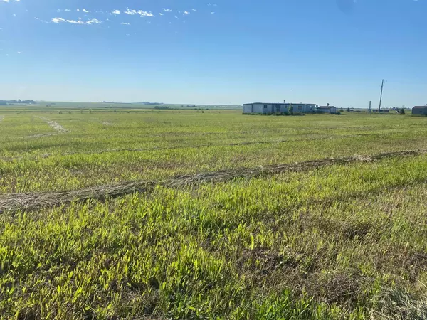 290043 RR 253 TWP RD 290, Rural Kneehill County, AB T1T 1T1