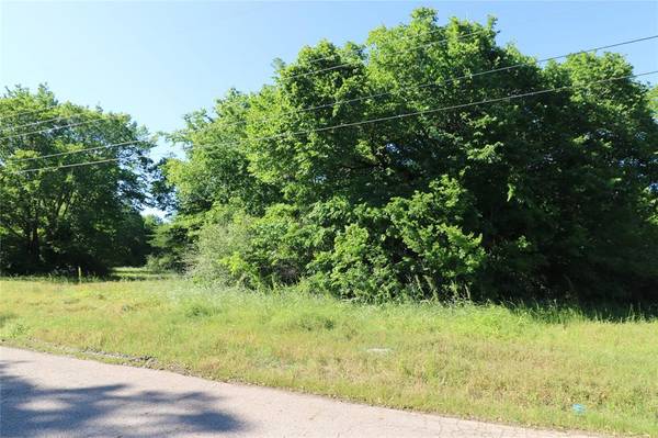 Mineola, TX 75773,TBD Freeman Street