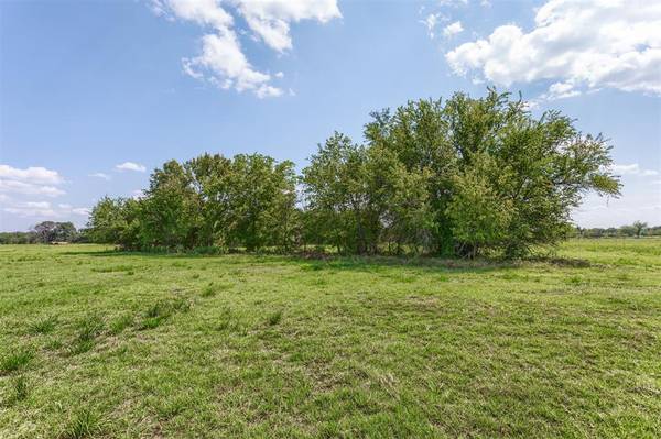 Sulphur Springs, TX 75482,612 County Road 1196 E