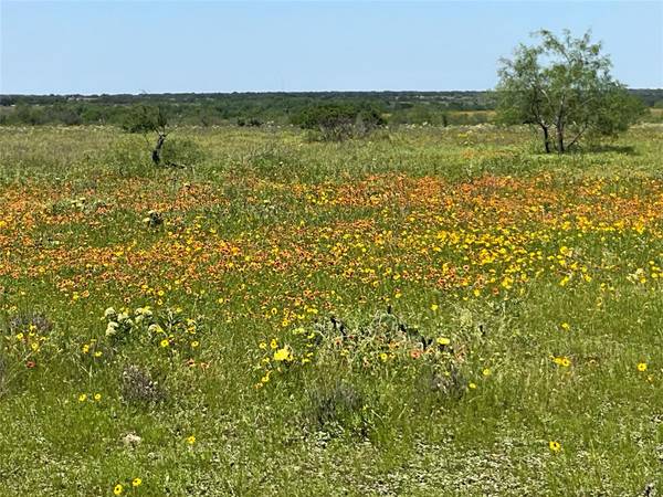 Hamilton, TX 76531,Tbd TBD Cr 626