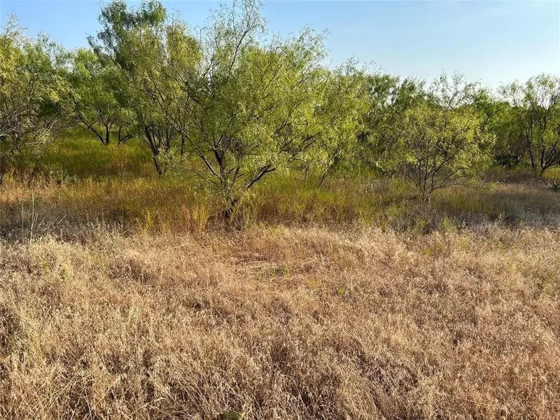 315 Georgia Pass, Desdemona, TX 76446