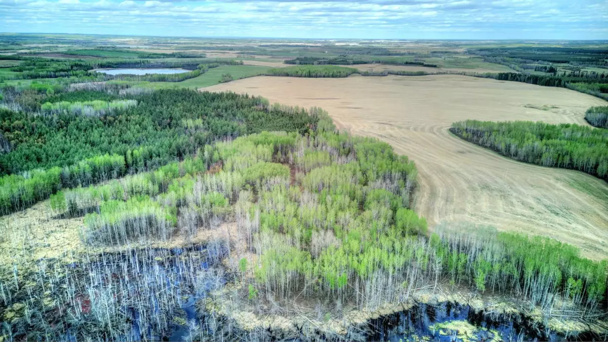 Rural Lac Ste. Anne County, AB T0E 2A0,SE-4-59-6-W5 590 Township